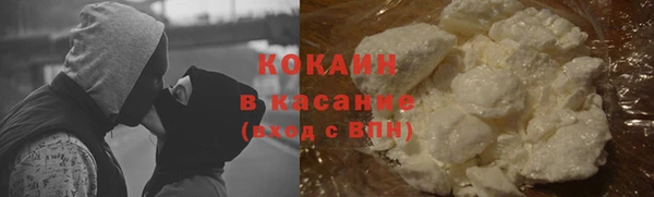 ПСИЛОЦИБИНОВЫЕ ГРИБЫ Аркадак