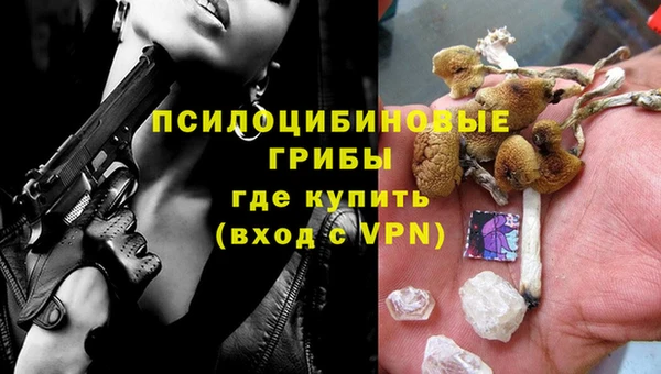 ПСИЛОЦИБИНОВЫЕ ГРИБЫ Аркадак
