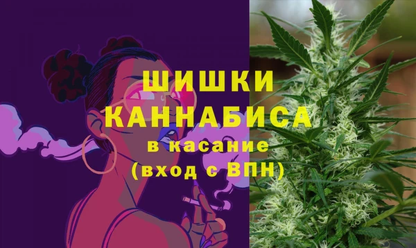 ПСИЛОЦИБИНОВЫЕ ГРИБЫ Аркадак