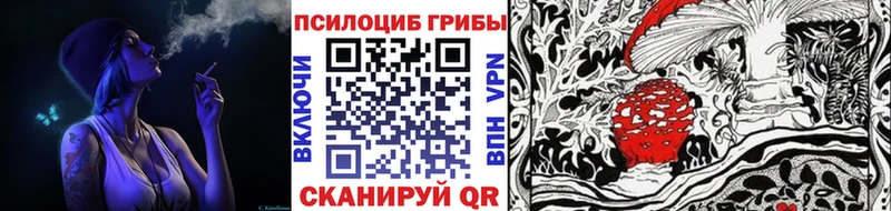 Псилоцибиновые грибы GOLDEN TEACHER  ОМГ ОМГ зеркало  Чудово 